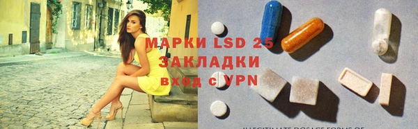 прущая мука Вяземский