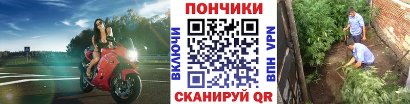 купить закладку мориарти Telegram Конопля LSD WEED Исилькуль